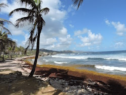 Bathsheba beach, Barbados